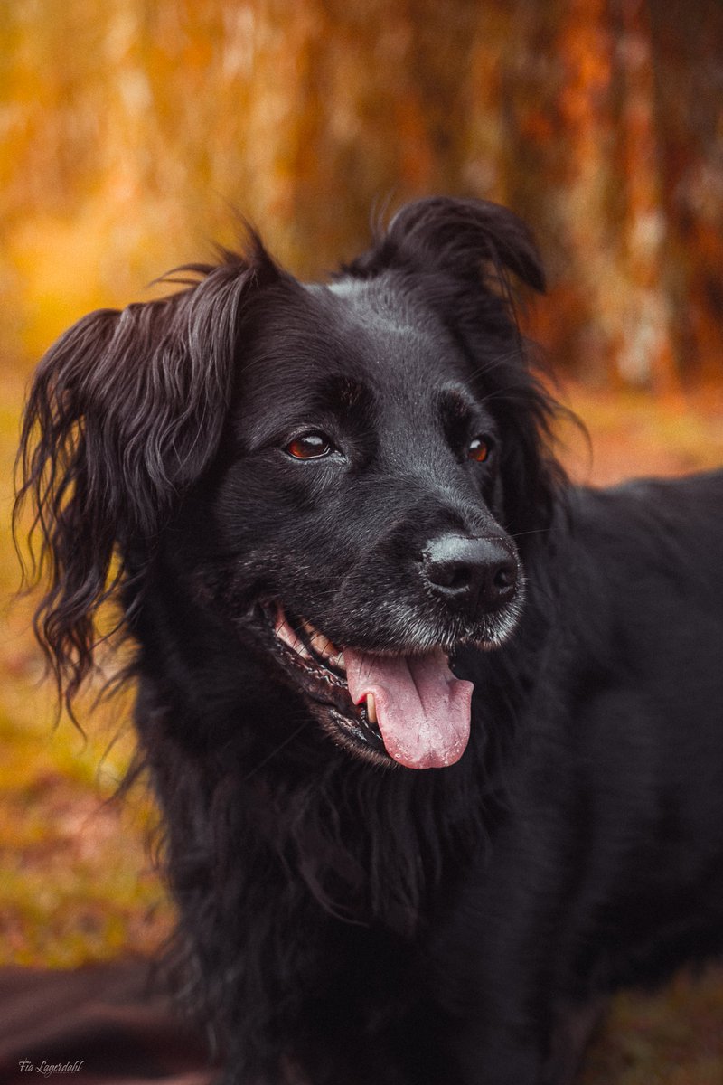 I will kick off! Hey everyone! I'm a photographer from Sweden that loves to take vibrant nature shots!