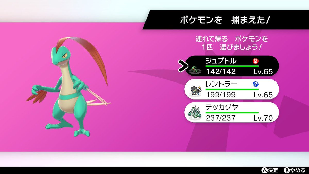 色違いポケモン 随時更新予定 Min T ミント 色違いポケモン 随時更新予定 Min T ミント