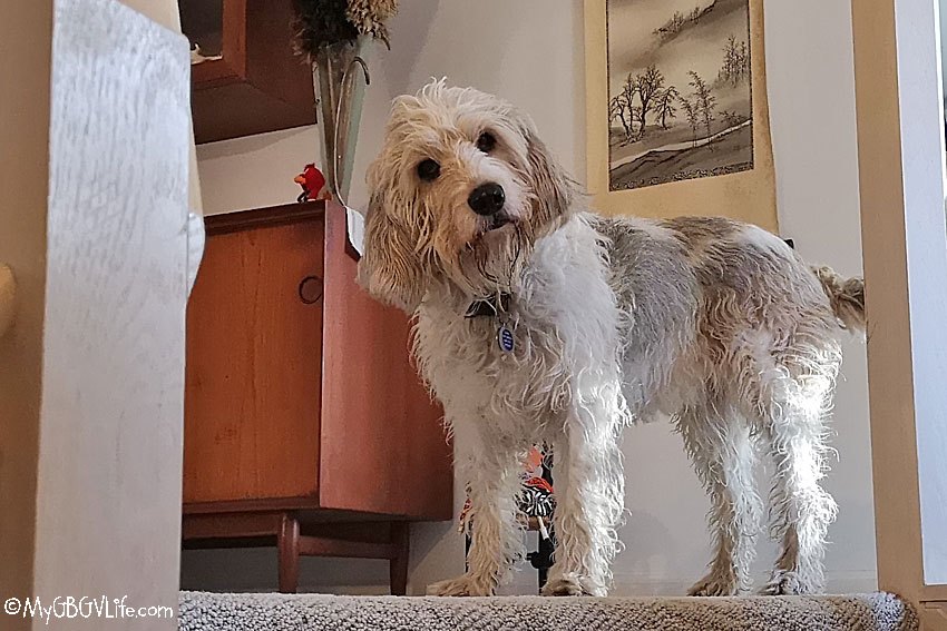 Chef Adriana tweet media