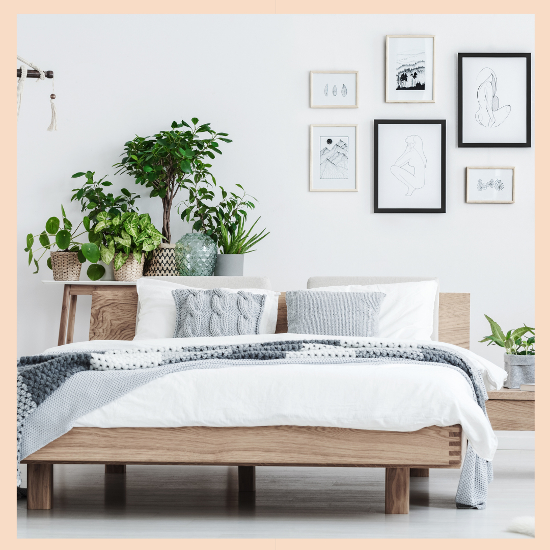 tidynestteam's tweet photo. 📰What's hiding under your bed!? Tidy Nest was recently featured in an @ApartmentTherapy article about under the bed storage! 

🔗Visit the link in our bio to read the article. 

🛏Now tell us, do you store stuff under your bed?

❓If so, what?

📝: @oliviamuenter � https://t.co/fCmDh0G0Qr