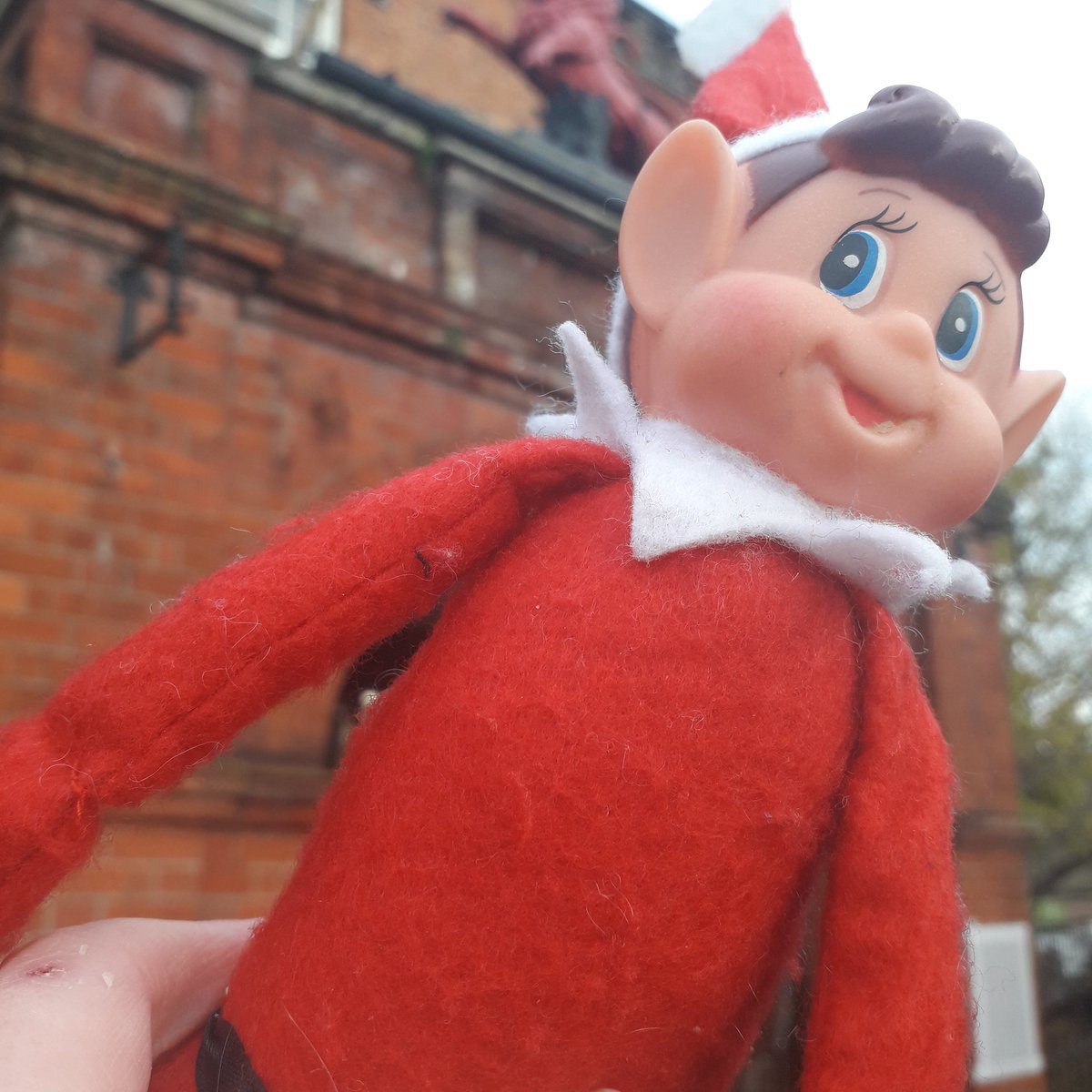 Did you miss me yesterday? Where am I today in #henley? #elfonashelf