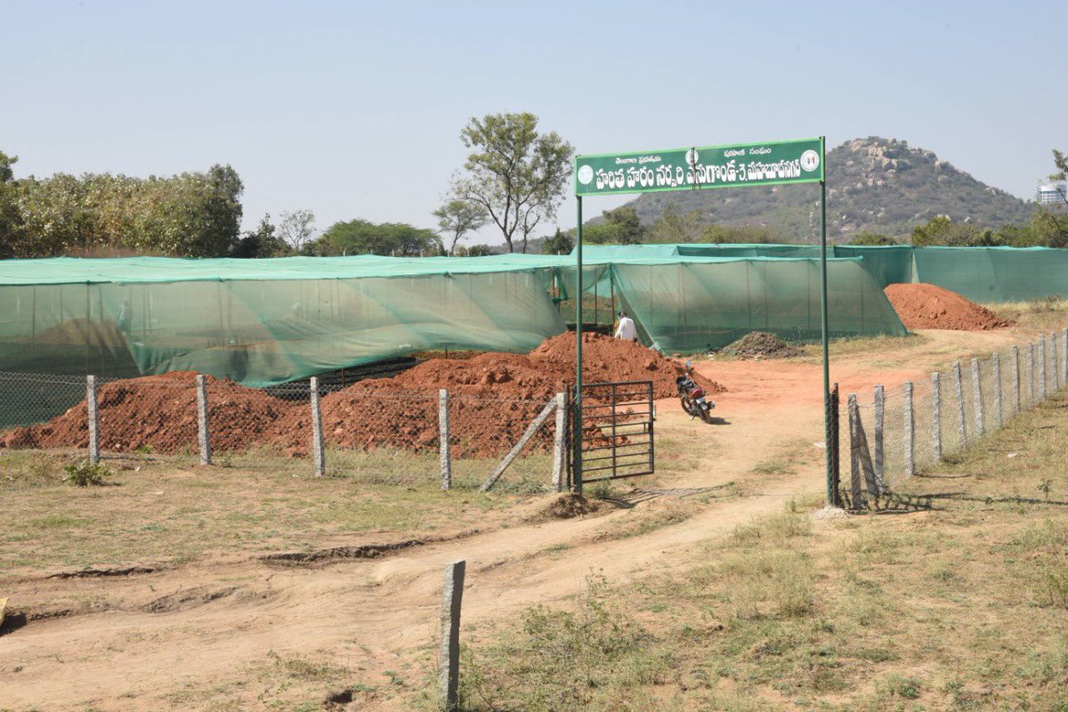 arvindkumar_ias's tweet photo. >million saplings being readied in #Mahbubnagar municipality nursery

Good initiative by
@Collector_MBNR, DFO &amp; MC MBNR as these will be ready for next year’s green cover

@KTRTRS 
@VSrinivasGoud https://t.co/JUmcGQoYLR