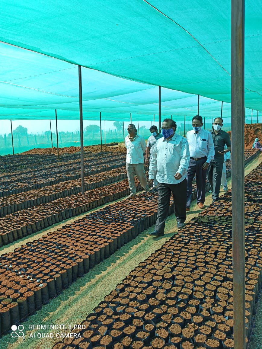 arvindkumar_ias's tweet photo. >million saplings being readied in #Mahbubnagar municipality nursery

Good initiative by
@Collector_MBNR, DFO &amp; MC MBNR as these will be ready for next year’s green cover

@KTRTRS 
@VSrinivasGoud https://t.co/JUmcGQoYLR