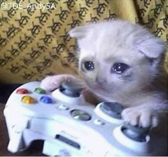 BuhleMda_'s tweet photo. This is the last game majita .. imedi  iyeza manje 
Amajita : https://t.co/xZTvjoDFpY