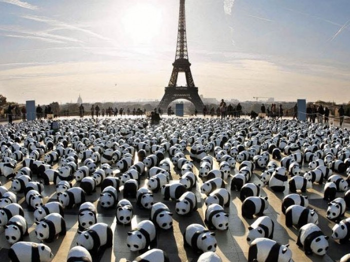 jcdelolmowwf's tweet photo. Hace 5 años del #AcuerdoDeParis 🌍
Un acuerdo de mínimos que hay que cumplir.
Mientras los gobiernos titubean el #CambioClimatico nos golpea más rápido de lo que podíamos predecir.
Reclamamos más urgencia, compromiso y ambición.
#ParisAgreement  
@climateWWF https://t.co/bar3vHZTia