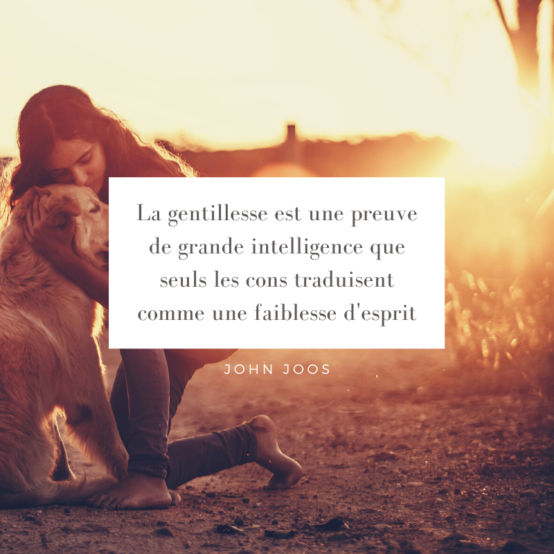 Bonnes Vibes Quotes Citation T Co Pxlalrestv Twitter