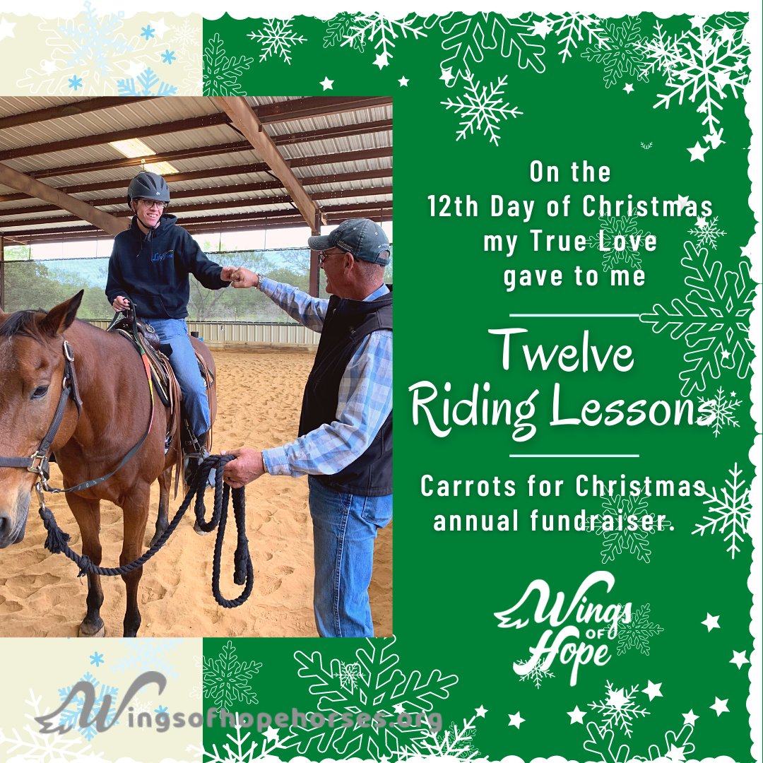 Wingsofhopeequi's tweet photo. On the 12th day of Christmas my True Love gave to me 12 sponsored lessons that's 3 months of lessons for an equestrian participating through the financial aid program.  $40 provides 1 lesson for 1 equestrian.  $1600 provides 1 equestrian 1 year of lessons. https://t.co/AykYcsBSoH https://t.co/IDEHgRtwv3
