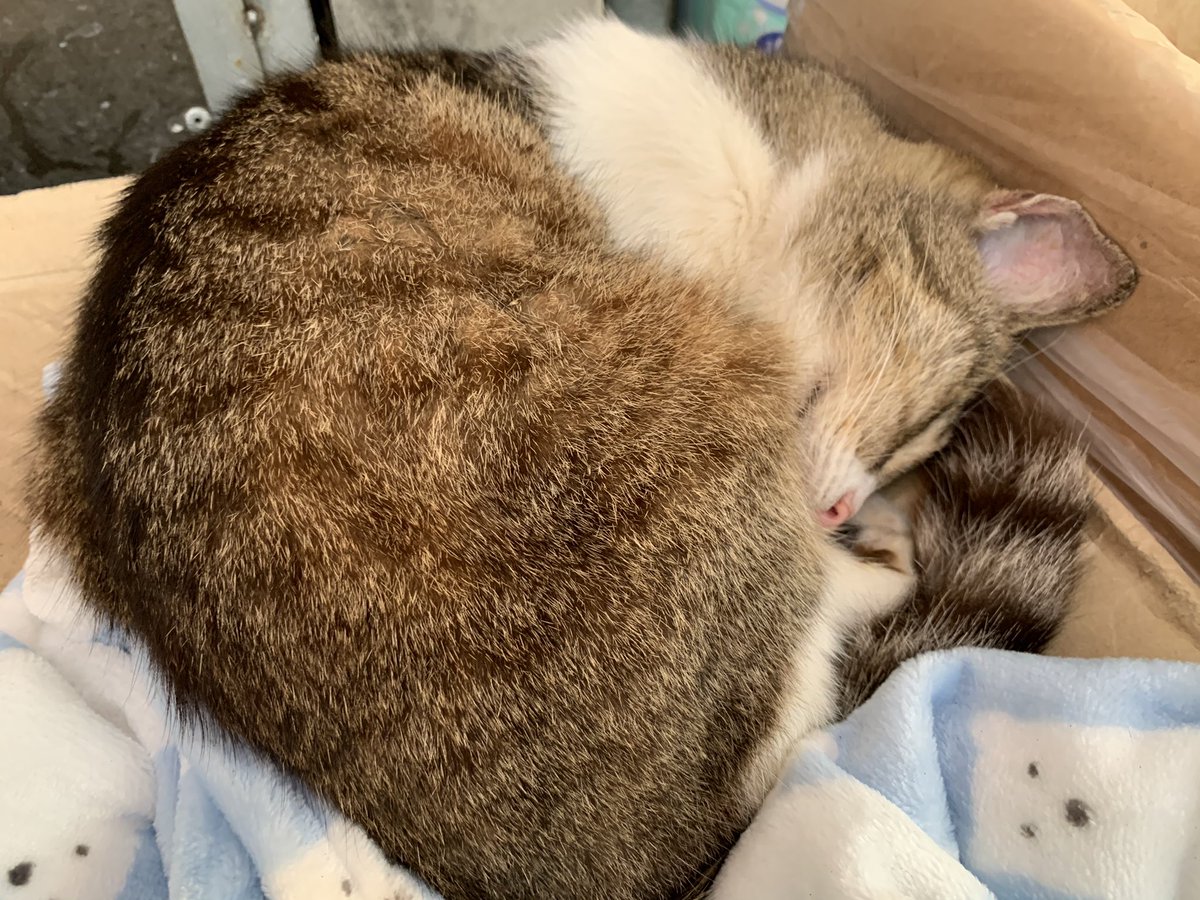 twoing's tweet photo. 希望你一直健健康康🥺🥺🥺🥺 https://t.co/SQe4IDAJRR
