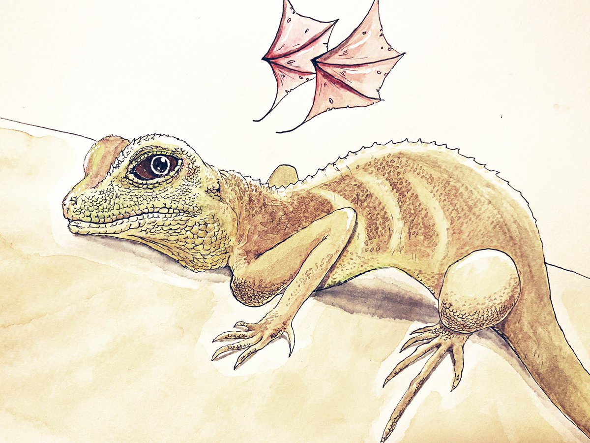 モササウルス 爬虫類兼イラスト No Twitter 忙しくて全然描けなかった 今日から暇続くんで描きまくります ヤマトさんのインドシナウォータードラゴン Aquamarineさんのレオパ ポッキーさんのレオパ 爬虫類愛好家さんのさそり 爬虫類好きと繋がりたい モササウルス 爬虫類兼イラスト No Twitter 忙しくて全然描けなかった 今日から暇続くんで描きまくります ヤマトさんのインドシナウォータードラゴン Aquamarineさんのレオパ ポッキーさんのレオパ 爬虫類愛好家さんのさそり 爬虫類好きと繋がりたい