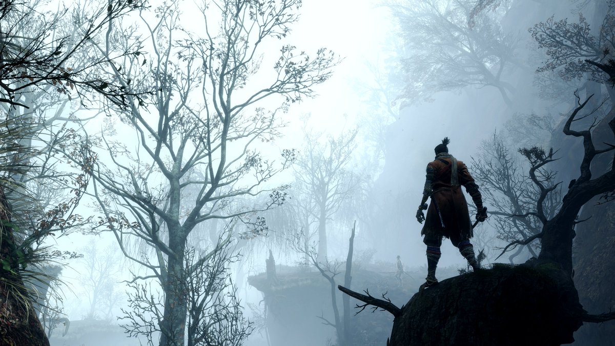 忍びのいる風景
#SEKIRO