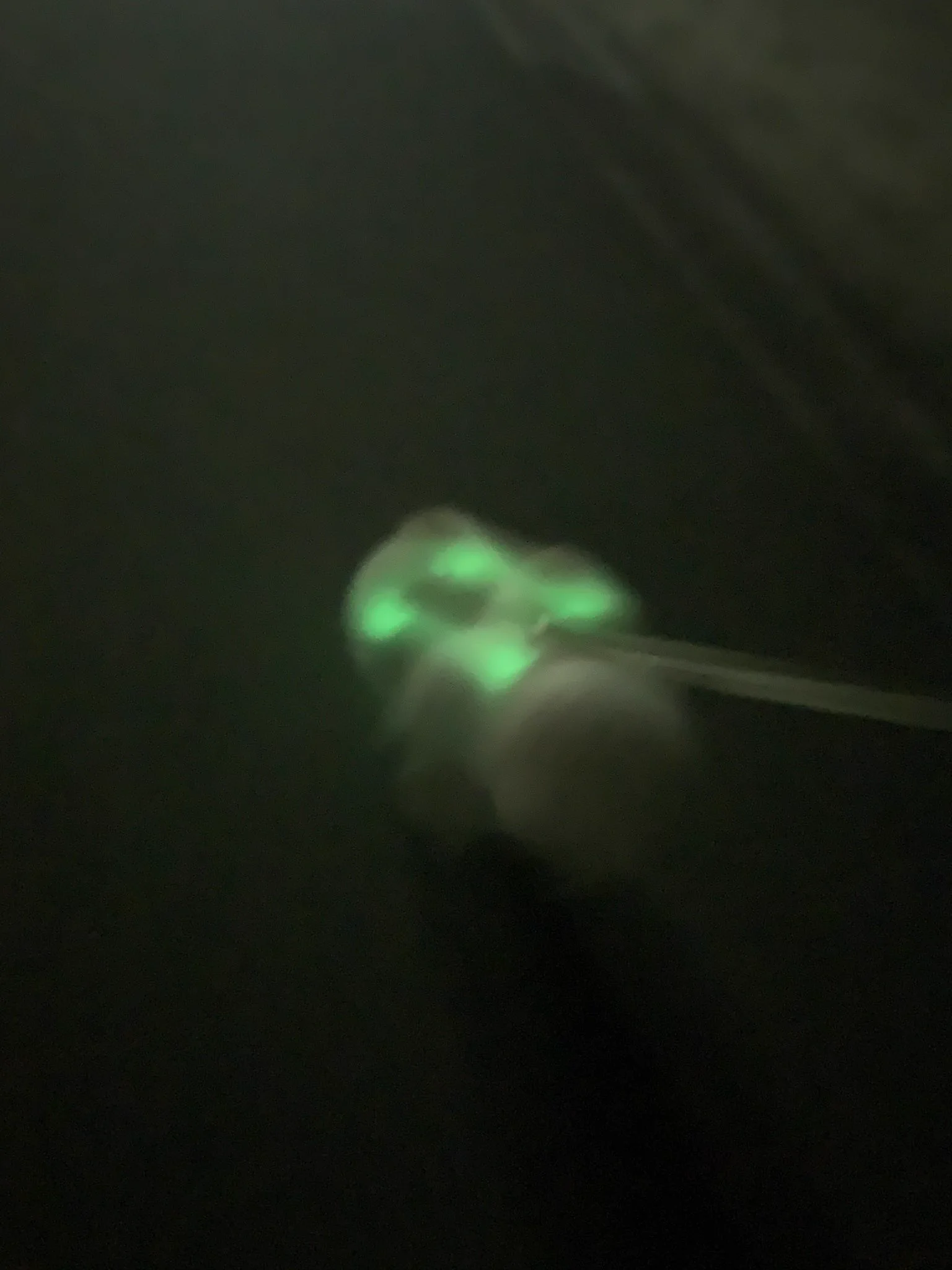 ゲームのキャラクターとして登場しそう？wwwポメラニアンに緑色に光る輪っかをつけた結果www