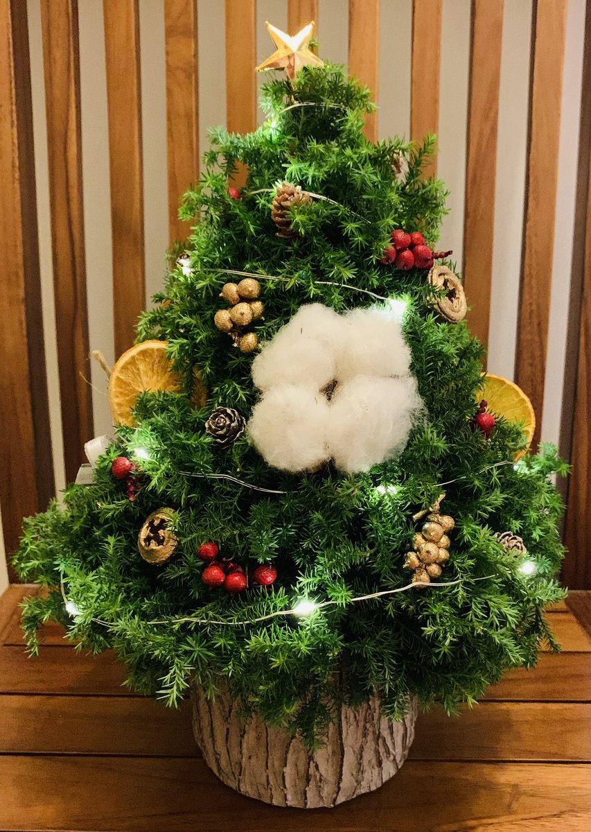 yokiya0606's tweet photo. Wish you a very Merry Christmas 
 ⛄️🎄🎁⛄️🎄🎁⛄️🎄🎁⛄️🎄🎁 https://t.co/MLRO5BZMsA
