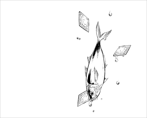 描いた 