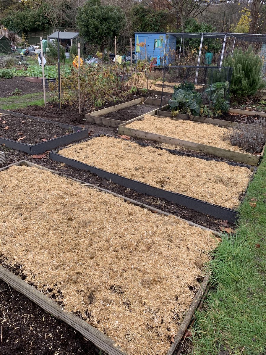 Kevin McDonald tweet media