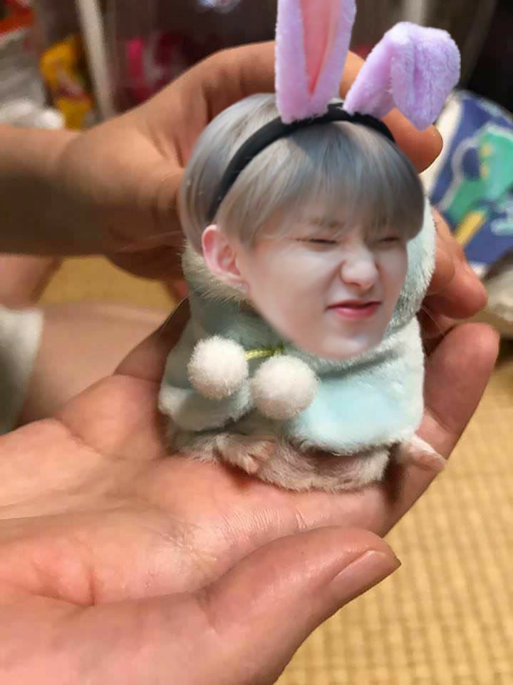 Haven : I want a bunnyEd : Say no more