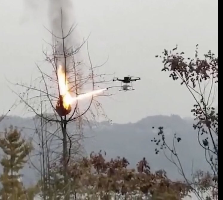 LesNews's tweet photo. La chine utilise des drones équipés de lance flammes pour combattre les nids de guêpes via @SkyNews https://t.co/CS1I36a6WJ