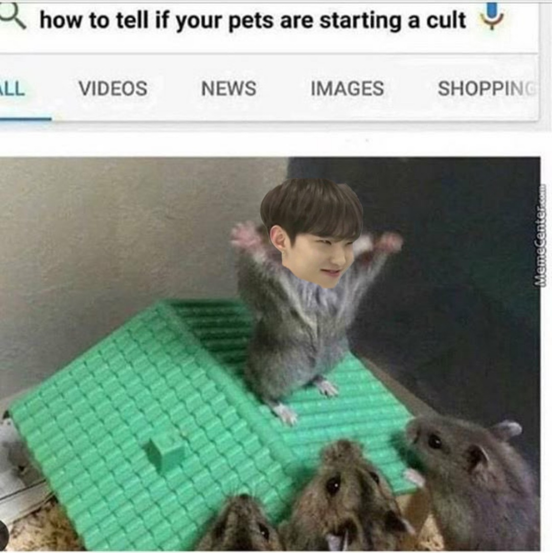 *Being bullied by everyone**Decides to start an anti-hamster bullying organisation*Fur summoning jutsu :