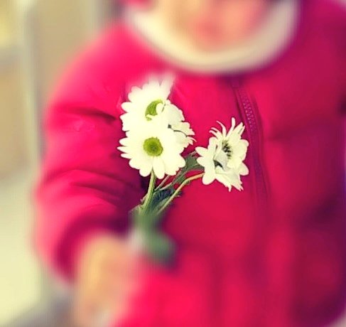 monicanonmolla's tweet photo. Oggi primo mazzo di fiori dal mio nano bavoso...
e niente..
#MiSento felice ❤️ https://t.co/MqP2JF2Lm9