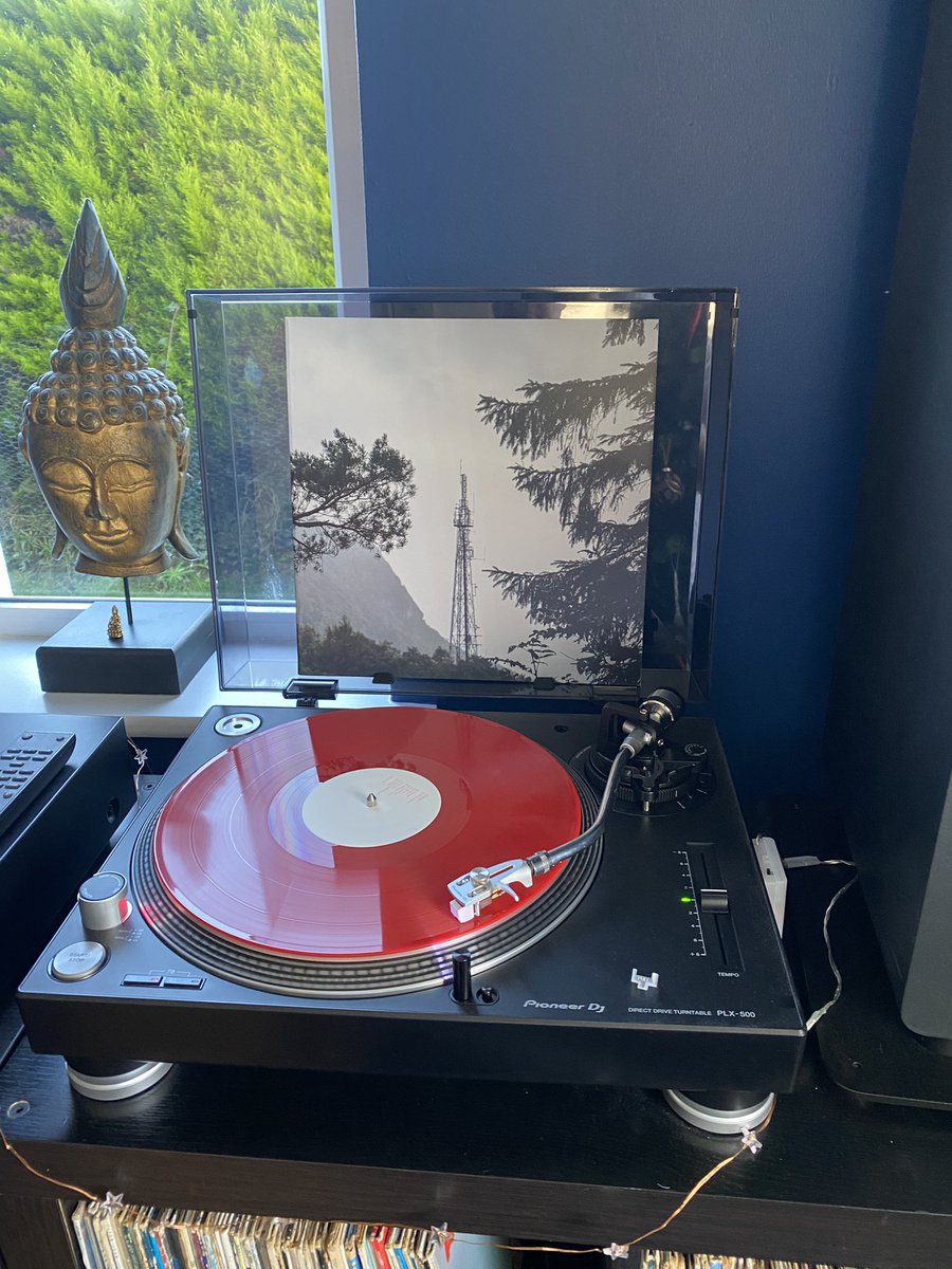 Sonny Harrington tweet media