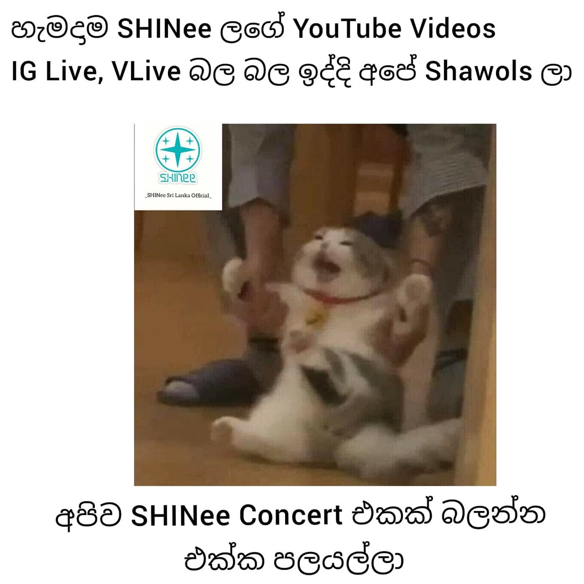 Shinee_SriLanka's tweet photo. Yes please 🤧✋️😁

#SHINee  #Shineeis5 #Shineeworld  #2020withshinee #srilankanshawols  #WeareproudofourSHINee  #proudtobeashawol #alwayswithshinee #2020_SHINeeisback #happyshawolday #Shineeshawol #srilankanshawols #shineeisfive

_Cherry🍒_ https://t.co/l6x087HZjA