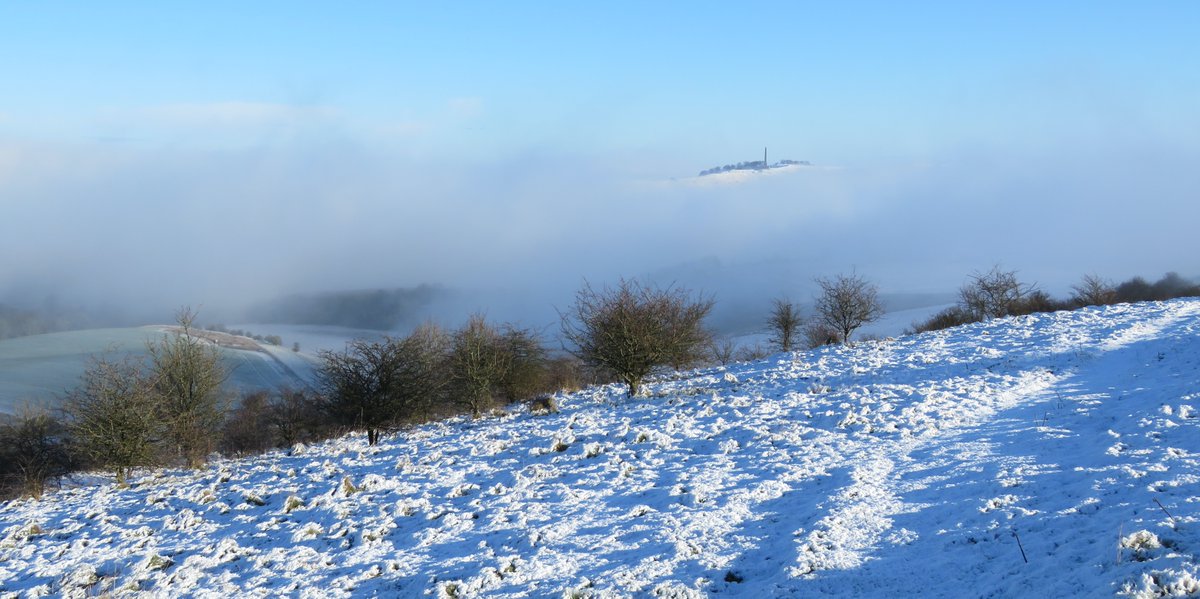 Discover Calne tweet media