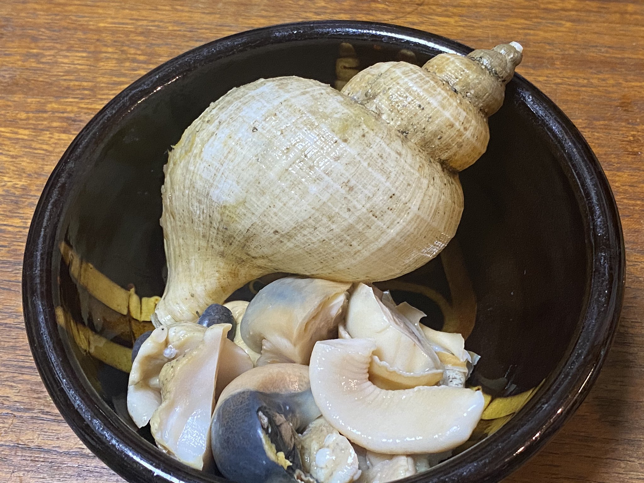 Funa つぶ貝の毒に当たるとどうなるか ニシバイガイ として売られていたエゾボラモドキをつぶ貝系と知らず購入 つぶ貝唾液腺の毒については知ってた バイ貝には唾液腺の毒は無い 塩茹でにして内臓含め1個完食 非常に美味 運転中に酒