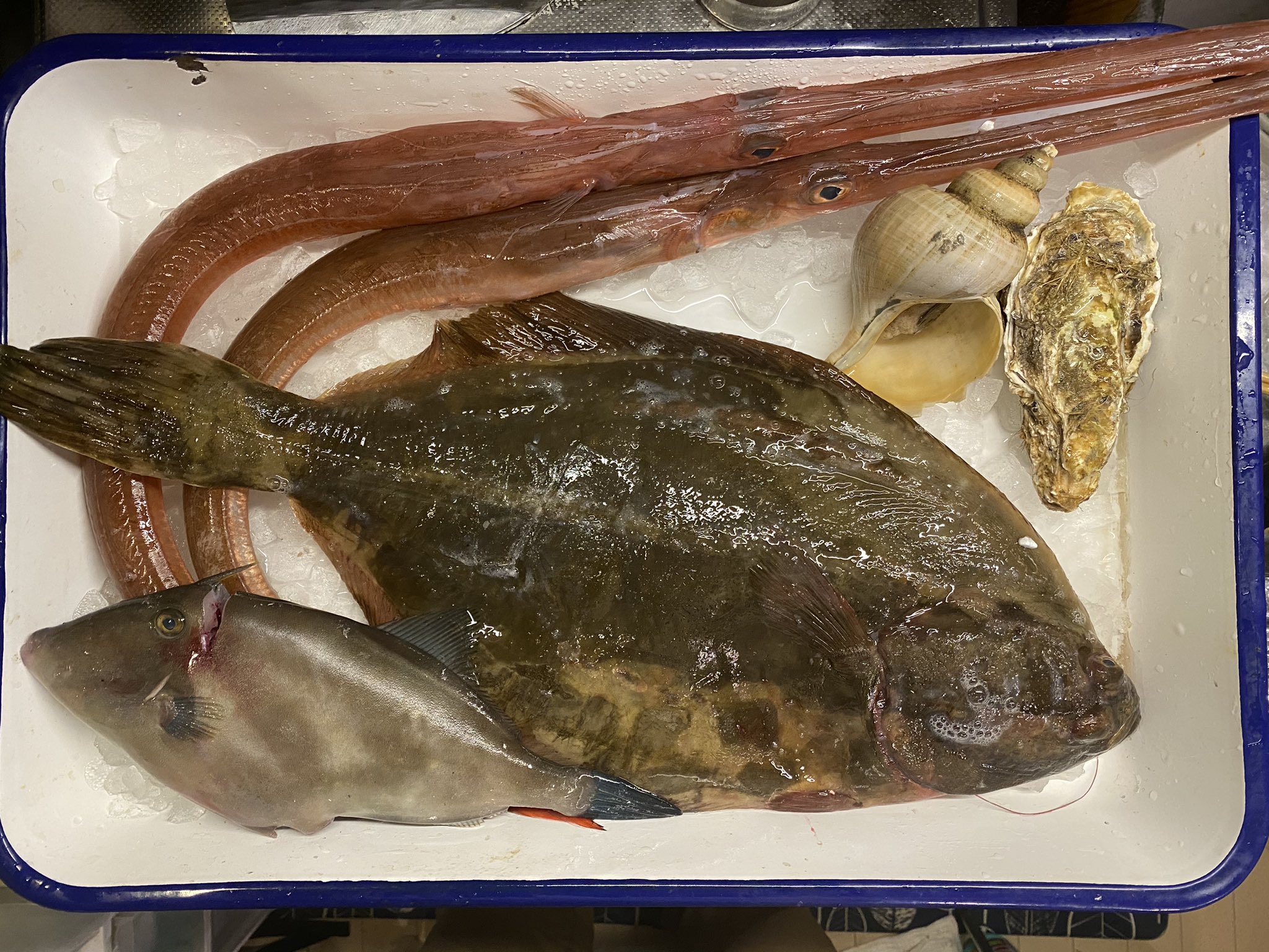 Funa これまで つぶ貝を食べるときは必ず唾液腺を切除していたが 今回はニシバイガイという名称で売られていたため バイ貝の一種と勘違いし丸ごと食べてしまったのが原因 完全に自分の判断ミスです 市場名は地域で異なるので標準和名を確認する必要が