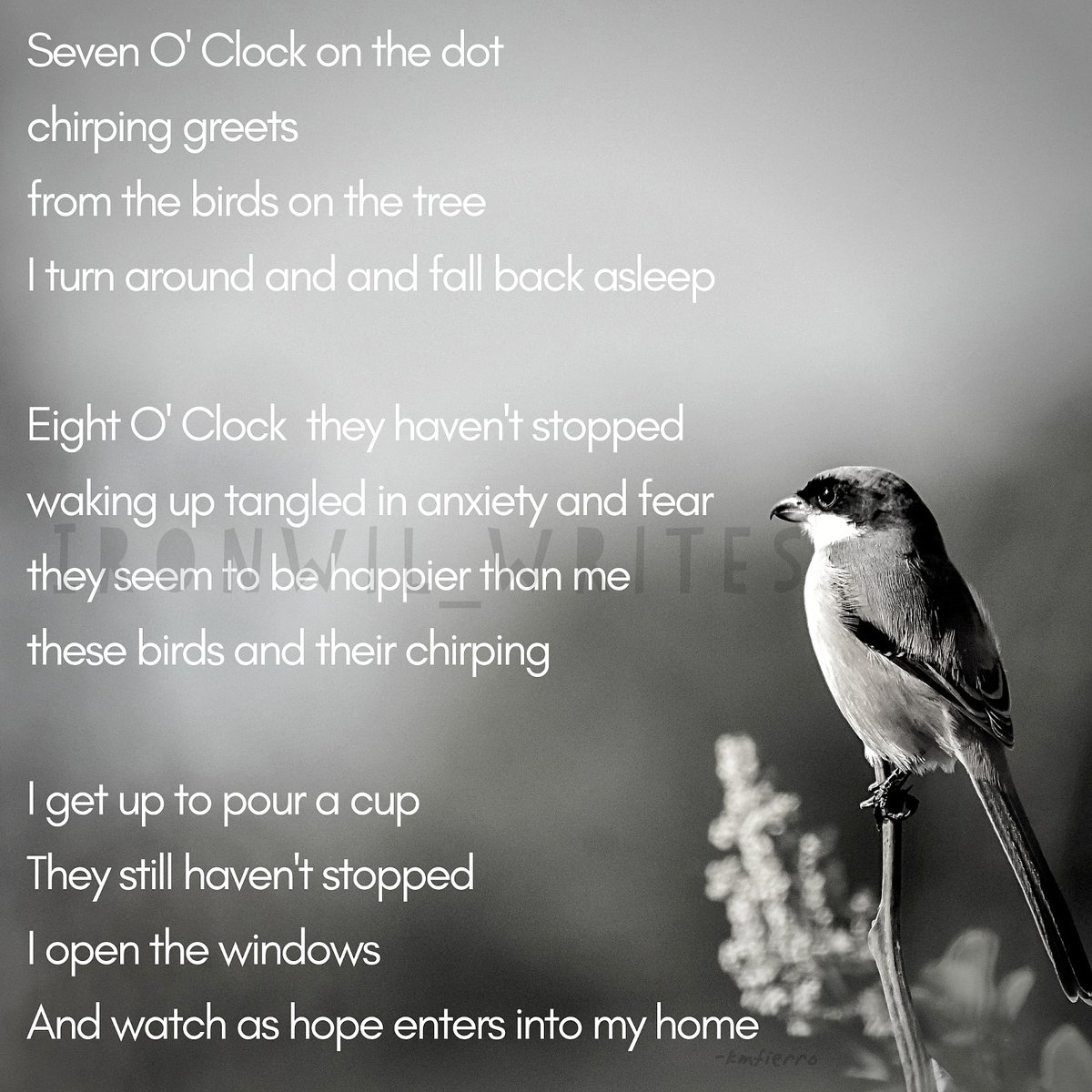IronwilW's tweet photo. A new day to hope...
#WritingCommunity #BeSafeOutThere #prose #Writers #hope #motivation #anxiety #positivevibes #blessed #poemdaily #like #empowerment #writerlift #December2020 https://t.co/kFLu5DezTl
