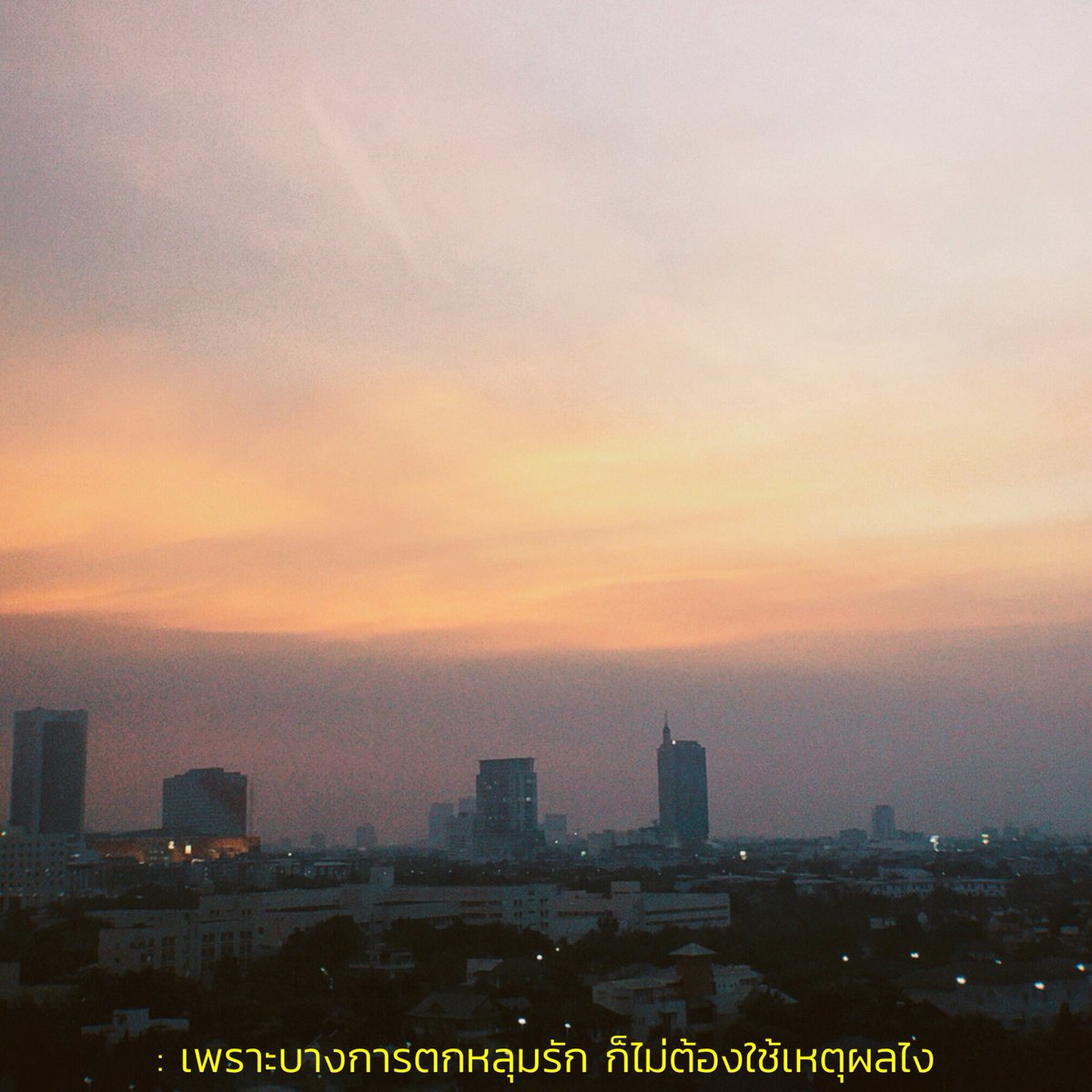 기 tweet media