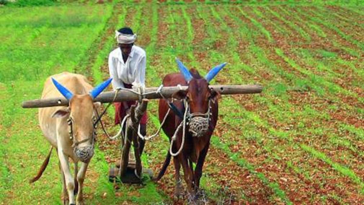 You can order food in Internet
But can't manufacture here..

👉#VIJAYFansSupportFarmers
#Farmers #FarmersProstests2020 
#SaveFarmers