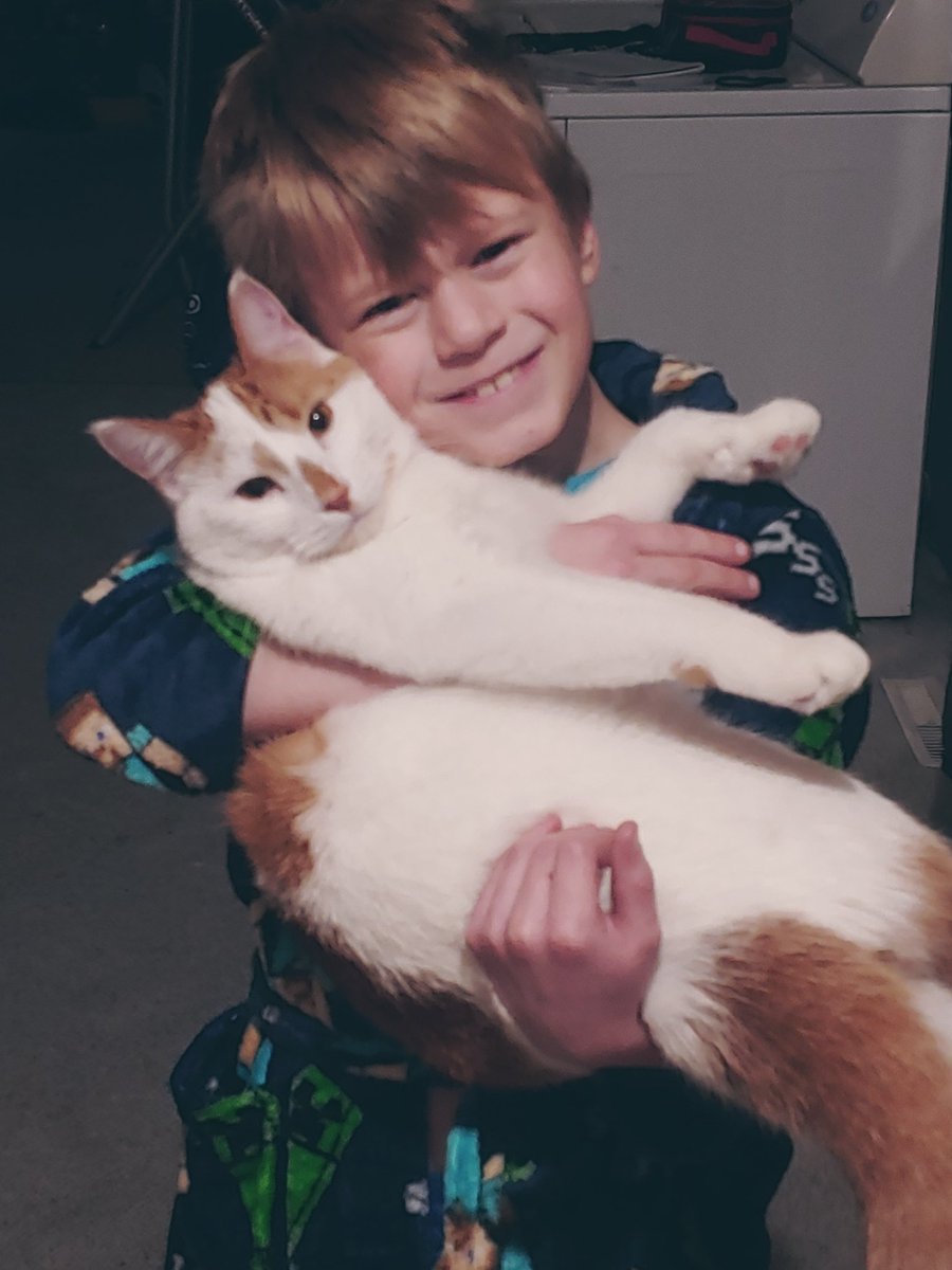 nerdych3f's tweet photo. @MediagirlDc My kitty and kiddo one early morning. P.S. This cat plays fetch with easter egg containers. 😂 https://t.co/Rx8CAFovBJ