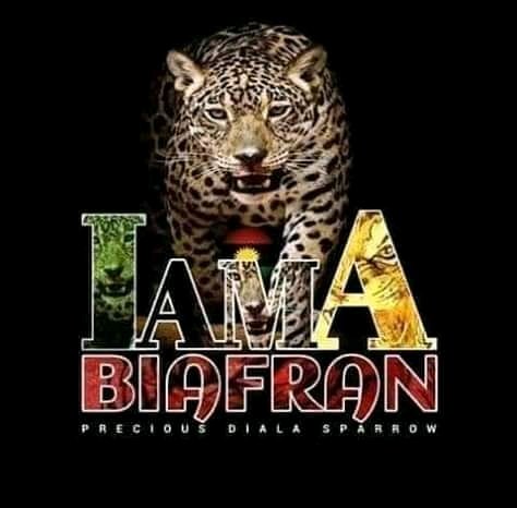 chimaobi_chris's tweet photo. @onyii_paul And freedom we shall get nwachineke https://t.co/dfiCv6lJoj