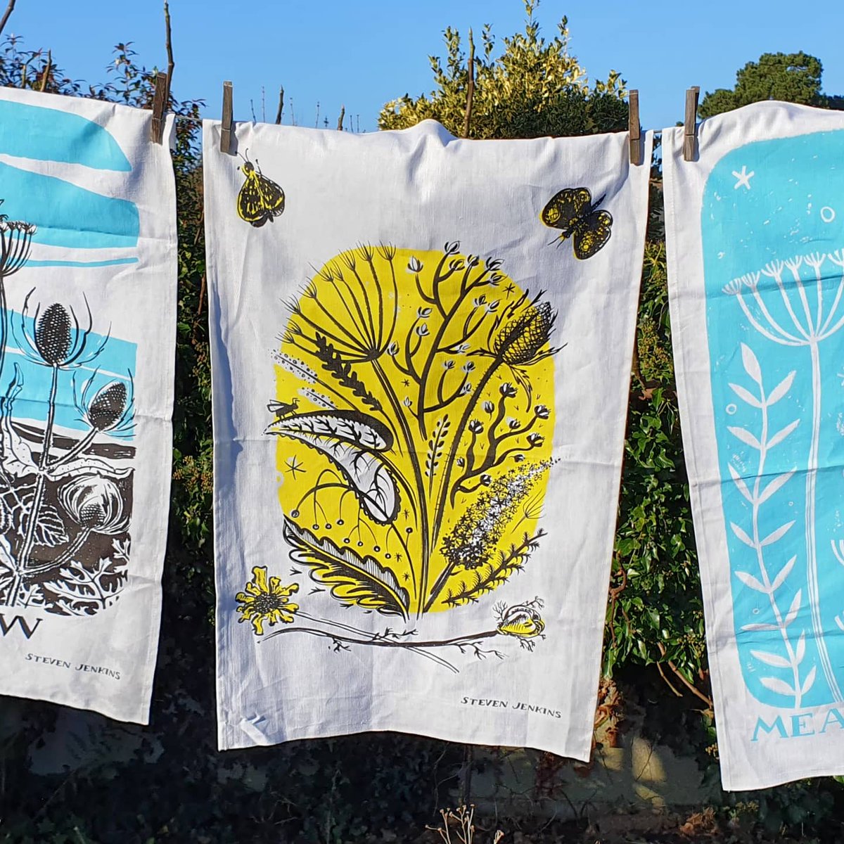 HogweedPotsnPrints tweet media