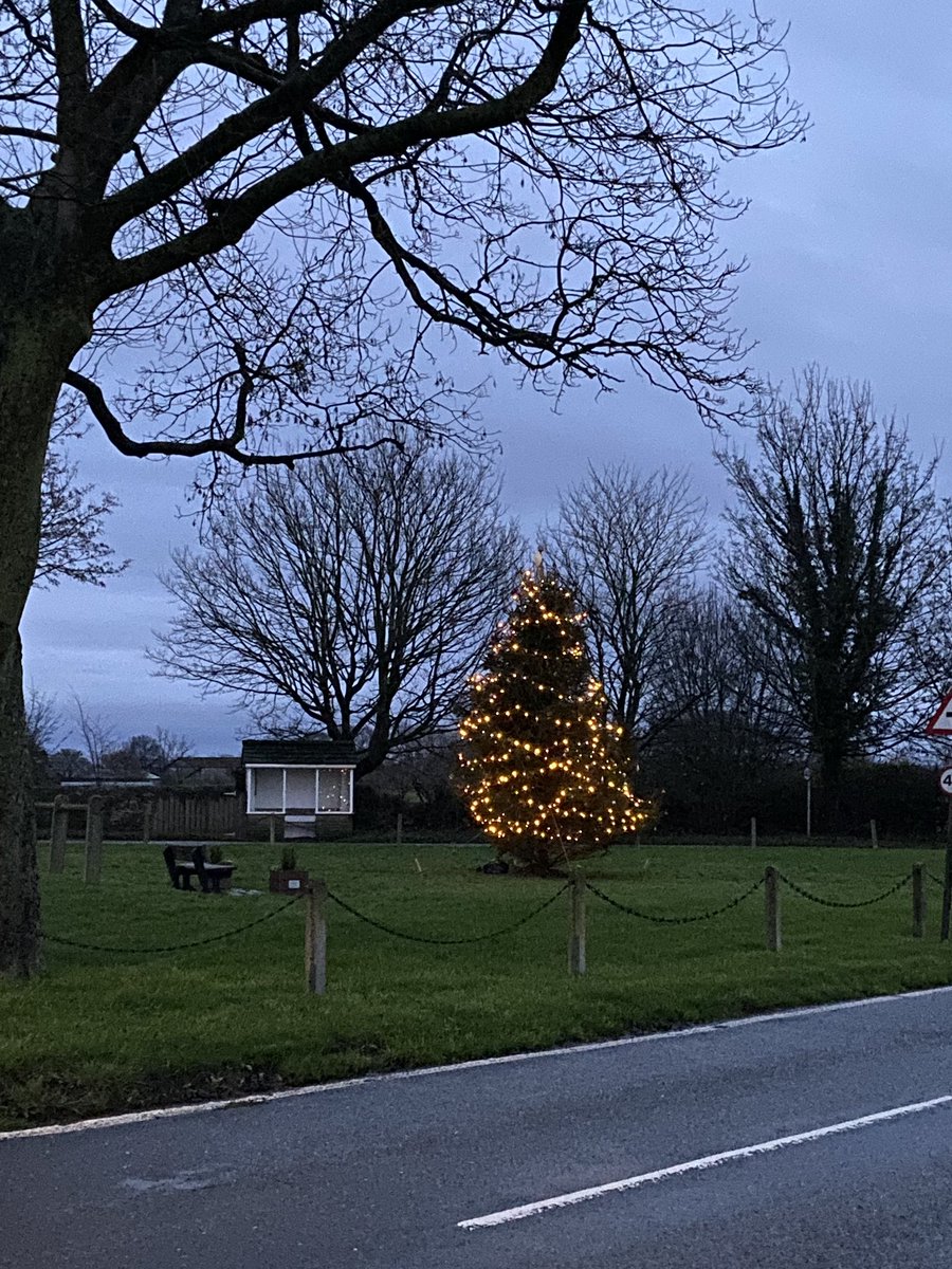 Not often I post anything personal but feels right today after organising with “the villagers” and @coxongroundworks and <a href="/BenRennison/">Ben Rennison</a>  to put up the first ever Christmas tree in Exelby. Feels just right after this year which has been so tough for so many