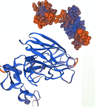 The process for doing this on fungi is a bit different than what we do for bacteria but the principle is the same. You need to separate live organisms from dead ones without waiting for them to grow for 5 days. These microbes are homogenized in salty TSB.