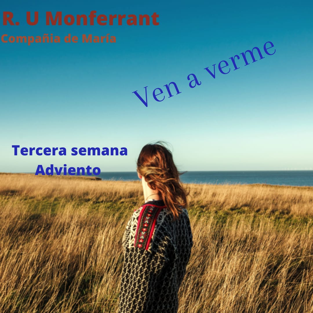 MONFERRANT tweet media