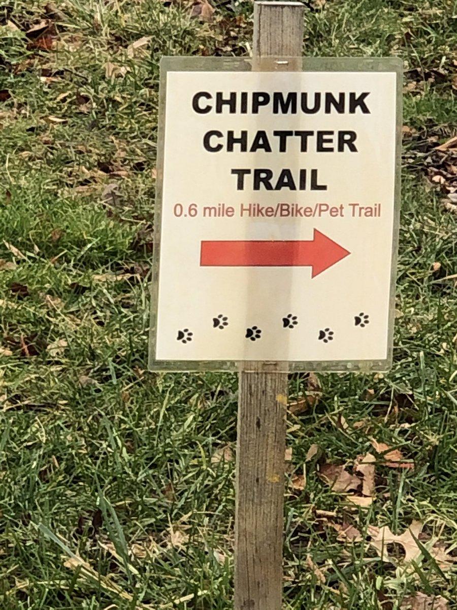 StringRiffs's tweet photo. Andrea Tippery saw this “in the wild” and shared with me. String Riffs Chipmunk Chatter is in Volume One Flex-Pack. The challenge part does a bunch of the running around with the piano part or in place of the piano. https://t.co/PApIdtPgOC
