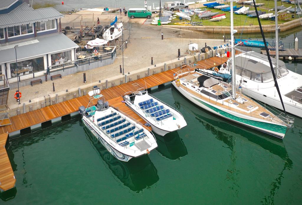 Ocean Odyssey whale watching Knysna tweet media