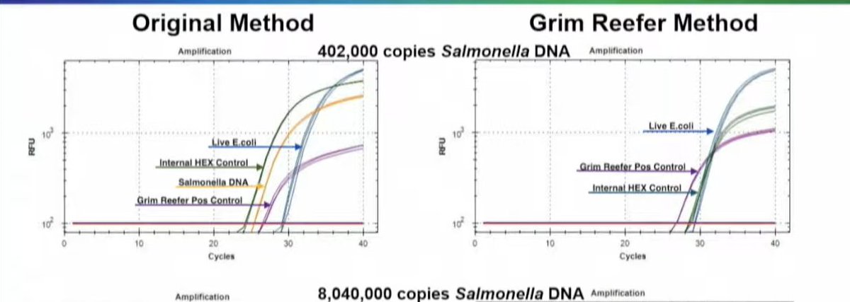 You look for nucleases that are salt tolerant and design another DNA control that you spike in after you kill these enzymes. This added control is in place to ensure your nucleases are infact dead before lysing open your cells.We call this Grim Reefer- it brings out the dead.