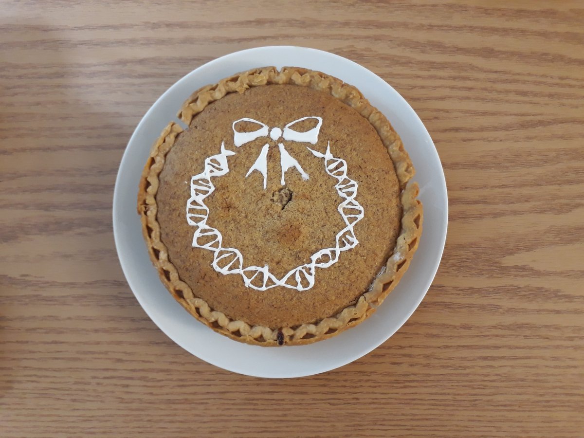 DorisVandeputte's tweet photo. My sweet husband is getting into baking and let me decorate his frangipane cake with a 'plasmid' Christmas wreath๐๐บ๐ธ๐ฒ #microbiology #baking #sciencebaking https://t.co/pvN6HUfA2p