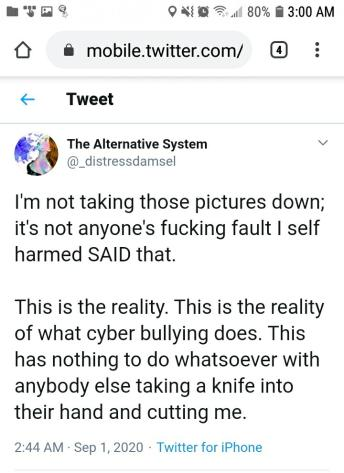 3 hours later, she pulls a Nin and says she refuses to remove the images and that it's about teaching them a lesson. Don't blame your fucking child alter for this shit when you agreed with and justified her actions. You took no accountability and put the blame on everyone else