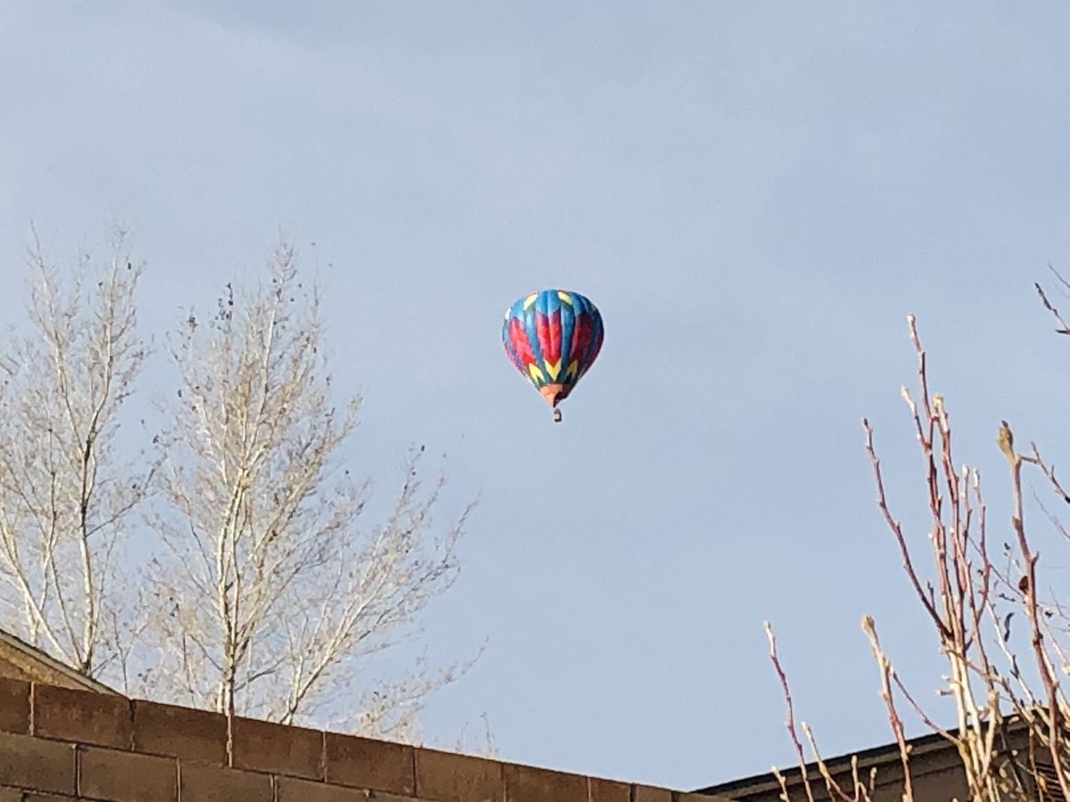 OdyneLaFee's tweet photo. It's been a very busy morning for balloons launching from behind my house. Not that I'm complaining. Though, the dogs do go a bit nuts when they see them floating silently overhead. #PoorPups #NMBalloons
๐ https://t.co/jkLc6SkNJ4
