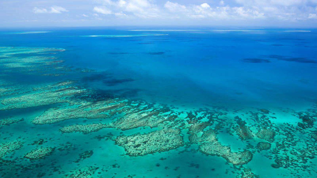 ObservatorioRAI's tweet photo. Un grupo de científicos ha descubierto un coral de 500 metros de altura en la Gran Barrera de Coral, frente a la costa nororiental de Australia. La base de este coral tiene forma de cuchilla y tiene 1,5 kilómetros de ancho y su menor profundidad se encuentra a 40 m. bajo el mar. https://t.co/7enNZ9aTBr