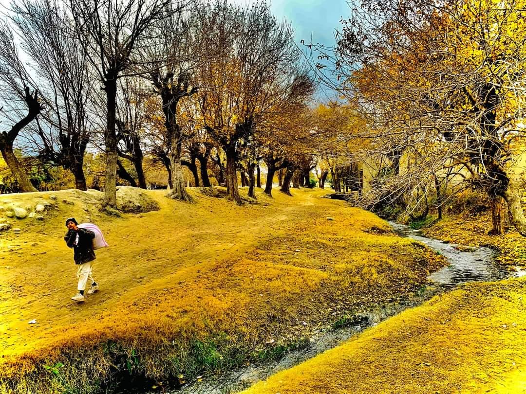 sarwarzohair's tweet photo. Autumn beauties of #Afghanistan. #Rodat district of #Nangarhar.

#Nature
#Afghanistan
#Autumn https://t.co/4FVw9JqY7p