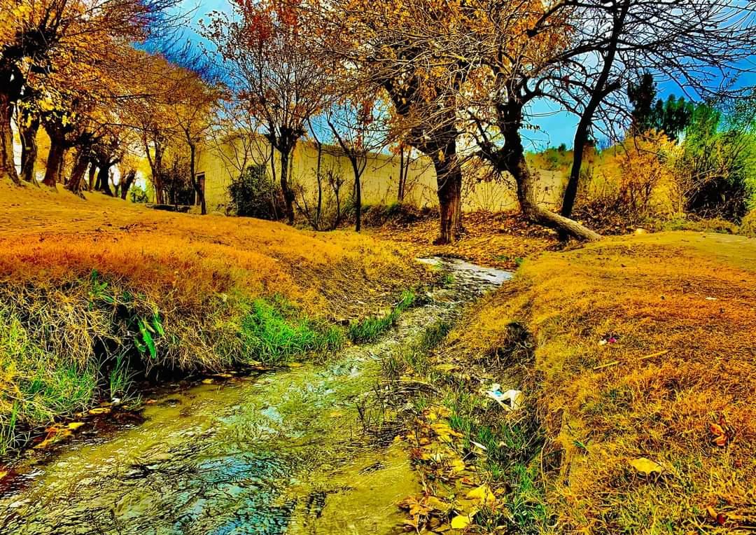 sarwarzohair's tweet photo. Autumn beauties of #Afghanistan. #Rodat district of #Nangarhar.

#Nature
#Afghanistan
#Autumn https://t.co/4FVw9JqY7p