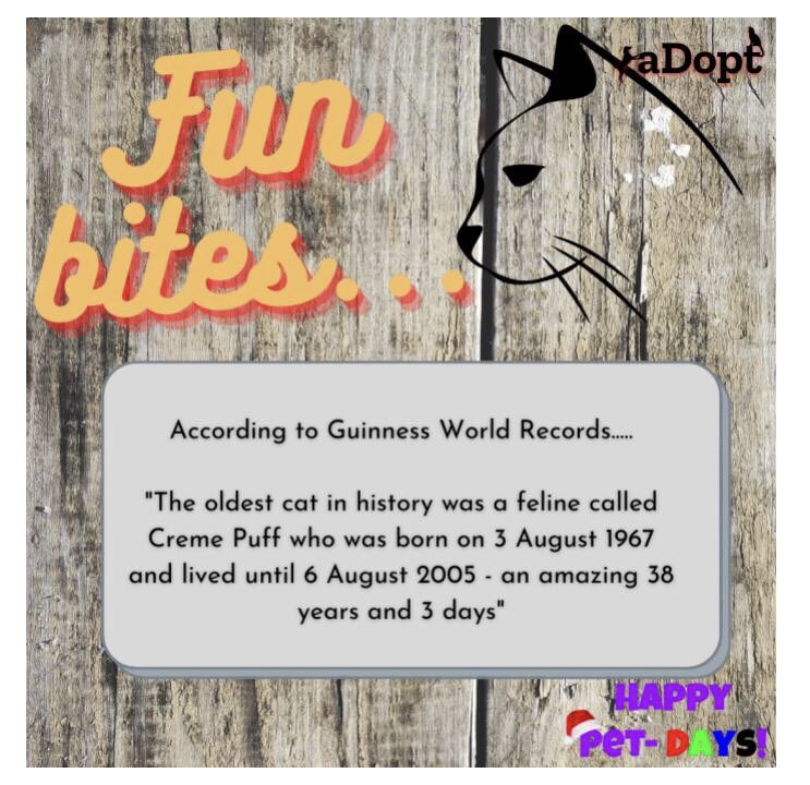 adoptmovement's tweet photo. Check out this fun trivia about cats and dogs! I know all of us would love our pets to be with us our entire lives! Celebrate your pets today!
#happypetdays #catyears #dogyears #guinnesworldrecord #CatsOfTwitter #dogsoftwitter #aCat #aDog #aPet #aDopt https://t.co/kwe1t9GYMK