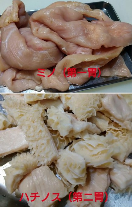 黒かどやさん の最近のツイート Whotwi グラフィカルtwitter分析