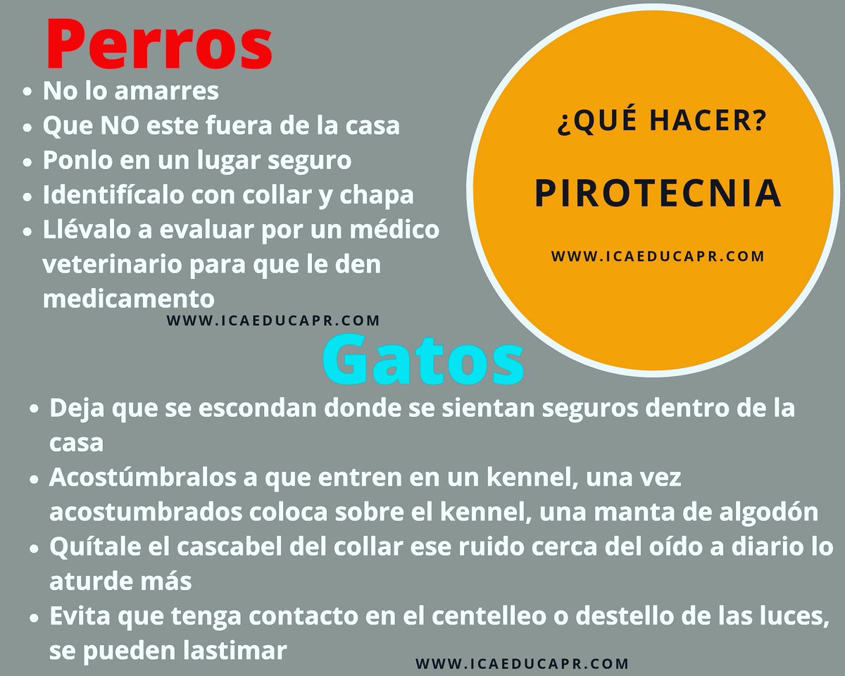 ICAeduca's tweet photo. ¿Qué hacer?...COMPARTE porque todos merecemos despedir el año, sin hacer daño https://t.co/dLmiMNi588