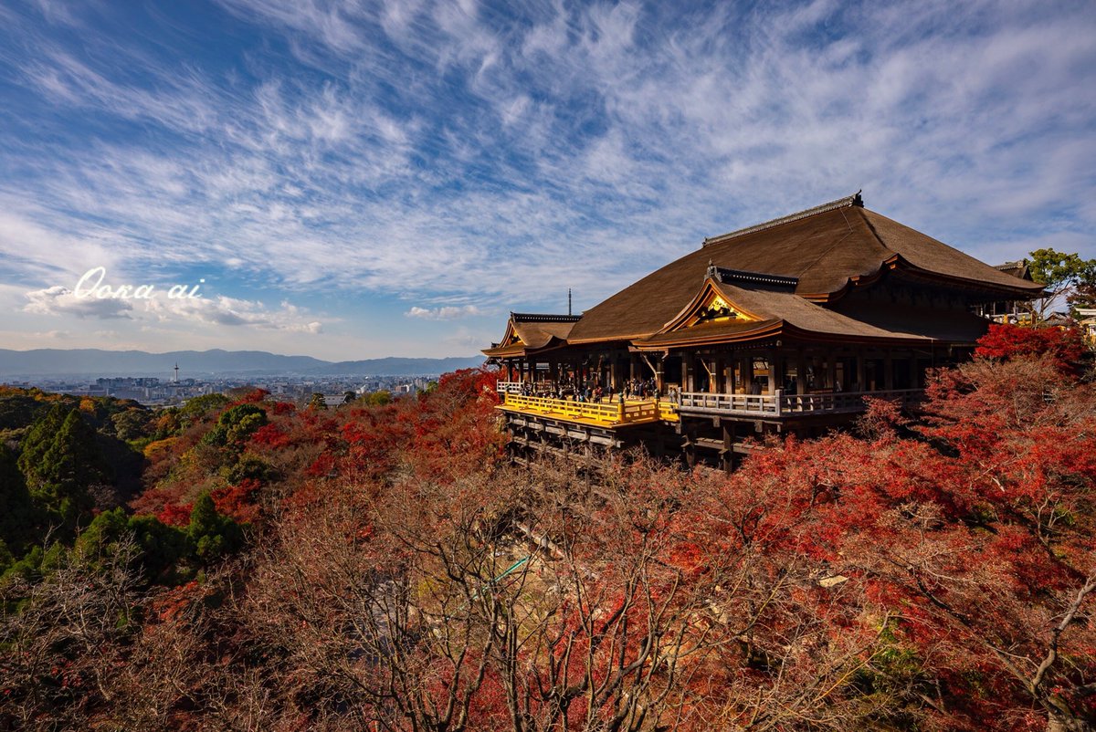 大岡愛on Twitter 京都音羽山清水寺 大岡愛 京都 清水寺 Kyoto 紅葉 楓葉 大岡愛on Twitter 京都音羽山清水寺 大岡愛 京都 清水寺 Kyoto 紅葉 楓葉