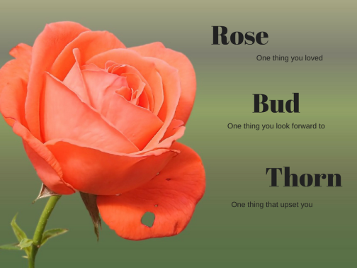 SaronMichele's tweet photo. @GiRon60505115 @RutgersAltRoute I know - I was skeptical at first about Hangouts since it's more screen time but I realize that educational screen time is a much different experience than social screen time. I led the "Rose, Bud, Thorn" exercise with them to ask about how their week went - they really liked it! https://t.co/d5ZzgZIzXO